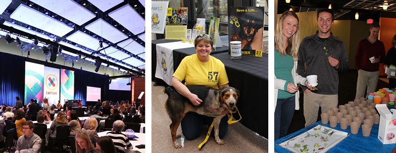 Examples of the ITA Group all-employee annual meeting, volunteers for pet rescue and employees planting succulents for Plant a Flower Day